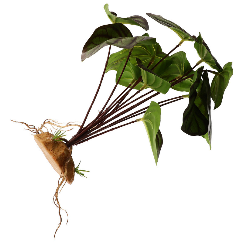 Dekor Akvárium Hamis hüllő Terrárium Élethű Dísz szimuláció Dísznövények Pók