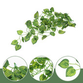 Üveg edények Díszek Szőlőutánzat Dísz akvárium Gyíkok Gekkók Ketrec Műanyag Terrárium Táj