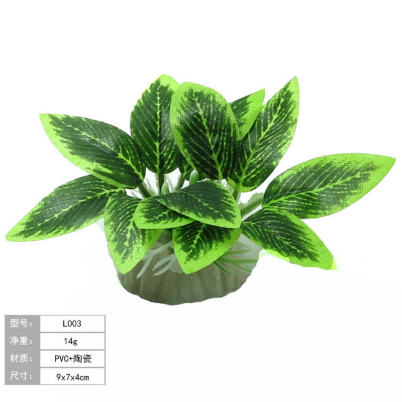 Szövet műanyag tereprendezés előtér, vízi fű, mini akvárium tereprendezés, apró növények, vízi fű magassága 5 cm