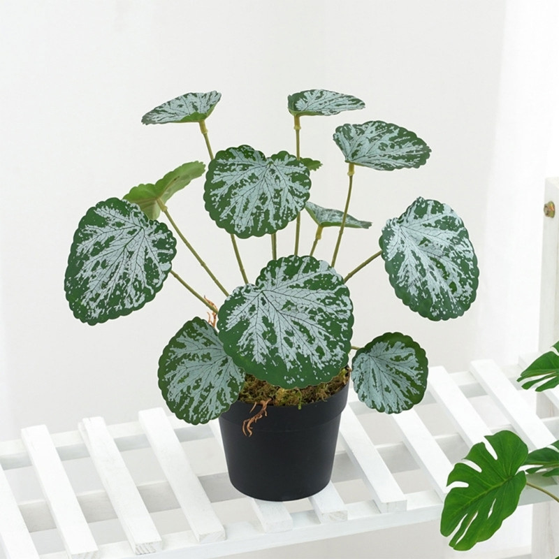 Hüllő dzsungel növény mesterséges függő növény hüllő élőhely akvárium mesterséges függő növény dekoráció