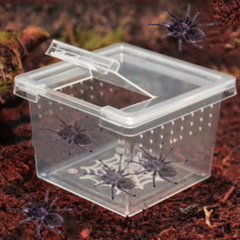 1 бр. Пластмасова кутия за живеене на влечуги, прозрачен терариум за влечуги, местообитание за скорпиони, паяк, мравки, развъждане на гущери, калъф за хранене