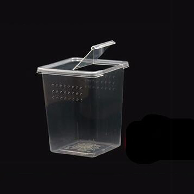 Póktenyésztő doboz hüllő terrárium Hidegvérű állattenyésztő doboz akril gyík sütőtok Scorpion átlátszó inkubátor