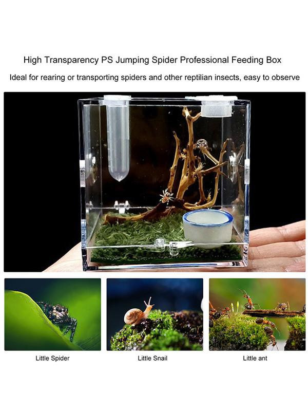 Hüllőtenyésztő doboz akril hüllő élőhely ketrec rovaretető tok Hegymászó kisállat terrárium tartály átlátszó mini mászó pe