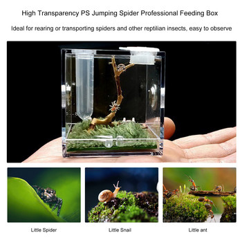 Кутия за размножаване на малки влечуги Прозрачна акрилна клетка Хабитат Кутия за хранене на насекоми Терариум Резервоар Доказателство за бягство за скачащ паяк