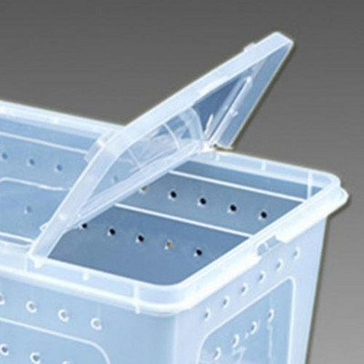 Kiváló minőségű hüllőház műanyag etetődoboz szellőző lyukak Samll nyíló etető keltető konténerrel