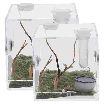 2 τμχ Terrarium Jumping Spider Reptile Holder Container Reptiles Breeding Insect Habitat Case Σαλιγκάρι Ακρυλικό περίβλημα