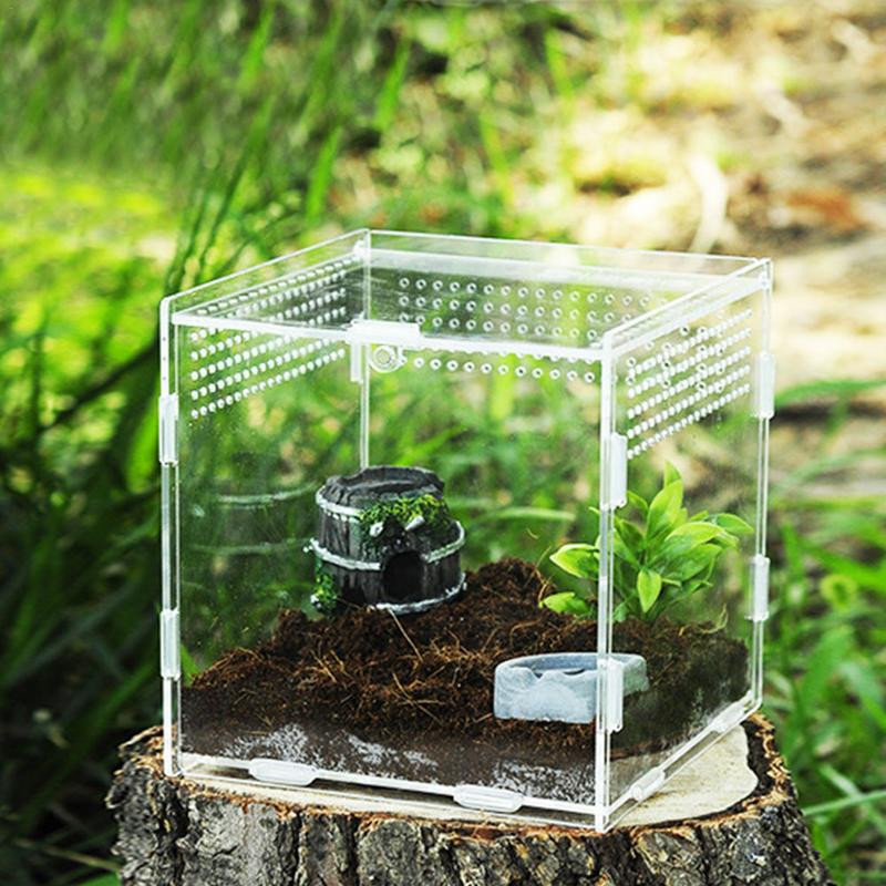 Reptile Terrarium átlátszó hüllőtenyésztő hordozó Könnyű akril nagy etető tarantula élőhely doboz kisállatoknak