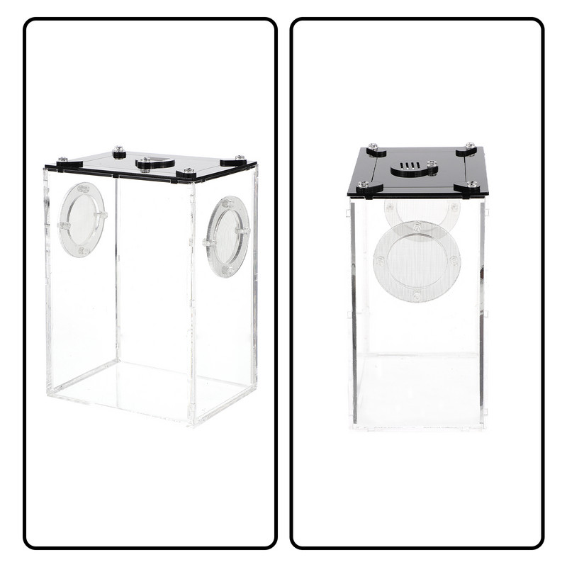 Spider Habitat ketrec Üvegtartályok Kígyó Terrárium Élőhely Gyík Terrárium Hüllők Etetődoboz Kagyló Hordozható Gekkó Élőhely