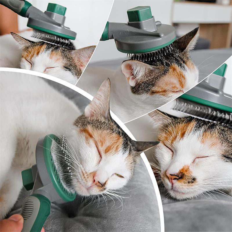 Kisállat macskakefe Kutyafésűs szőr eltávolítja a kisállatszőrt fésű öntisztító kefe macskáknak Kutyáknak eltávolítja a kusza szőrt Macskatartozékok