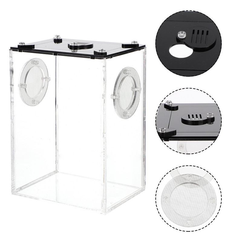 Hüllődobozos ketrectenyésztő tartály terrárium pókokígyó akril élőhelye háziállat átlátszó tartási helye gyíkgekkó konténeres etetés