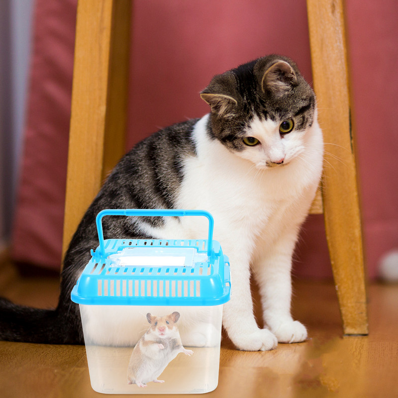 Akril átlátszó tok hüllő teknős medence akváriumi tartály kétéltű állat