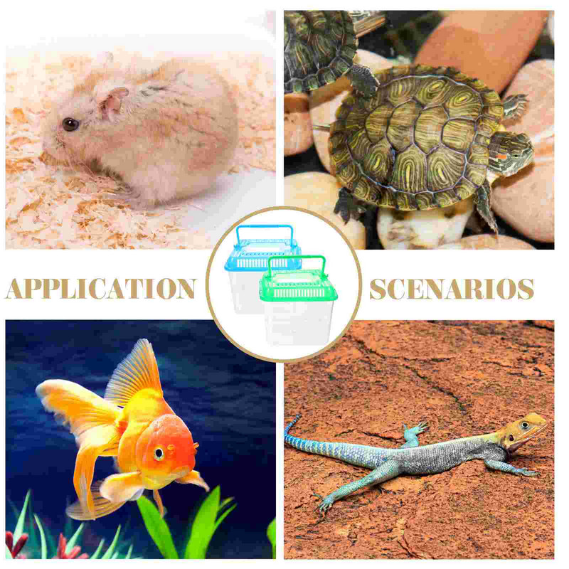 Akril átlátszó tok hüllő teknős medence akváriumi tartály kétéltű állat