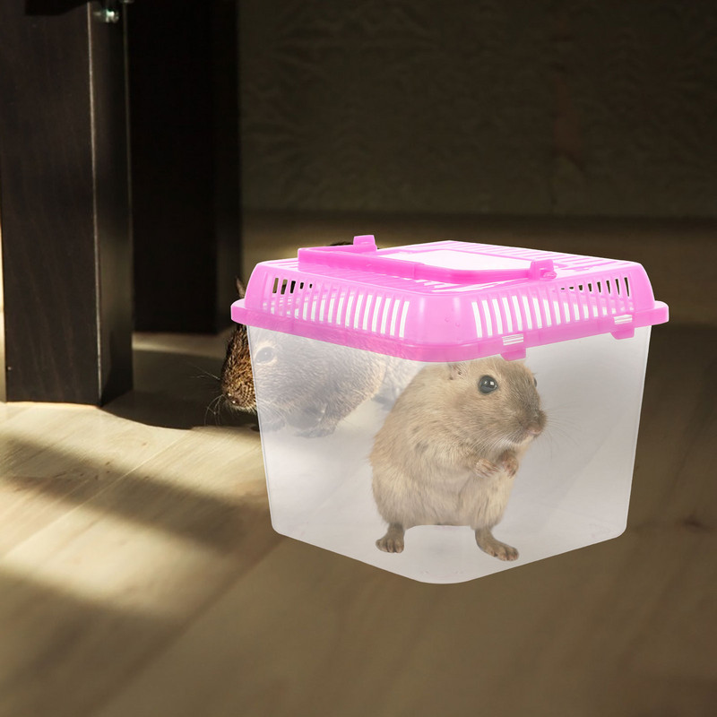 Akril átlátszó tok hüllő teknős medence akváriumi tartály kétéltű állat