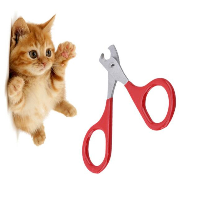 1 tk Professionaalsed lemmikloomakoera kutsika küünekäärid varba küüniste käärid trimmer lemmikloomade hooldustooted väikestele koertele kassidele kutsikale