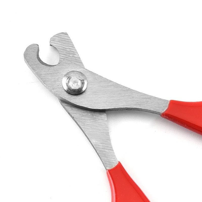 1 tk Professionaalsed lemmikloomakoera kutsika küünekäärid varba küüniste käärid trimmer lemmikloomade hooldustooted väikestele koertele kassidele kutsikale