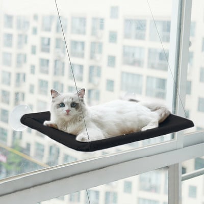 Hamac pentru pisici agățat pentru fereastră pat pentru pisici Pat pentru pisici câini de talie mică Sunny fereastra scaun cu suport cu pătură 20 kg accesorii pentru animale de companie