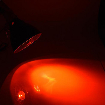 220V 25/50/75W UVA+UVB лампа за влечуги крушка костенурка греене UV крушки нагревателна лампа земноводни гущери регулатор на температурата