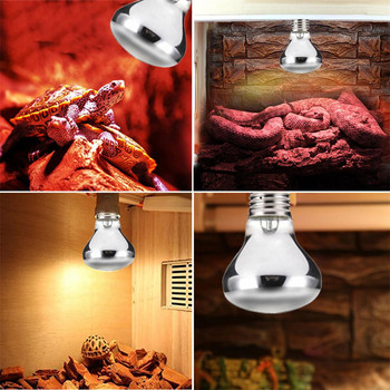 50W/100W Λάμπα θέρμανσης κατοικίδιων Αμφίβια λάμπα για αμφίβια φίδια Heat Reptile Bulb E27 Reptile Pet Heat Lamp Lamp Lamp