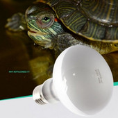 Bec pentru reptile Lampă de încălzire UVA+UVB Lumină UV Broasca țestoasă Soparlă Reptilă Lampă rezistentă la apă pentru lumina zilei Terarium Controler de temperatură