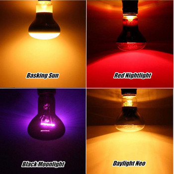Лампа за влечуги Мини нагревателна лампа за домашни любимци E27 UV Ден Нощ Земноводни Костенурка Змия Лампа Отоплителна крушка за влечуги Светлина 25/50/100W AC220-230V
