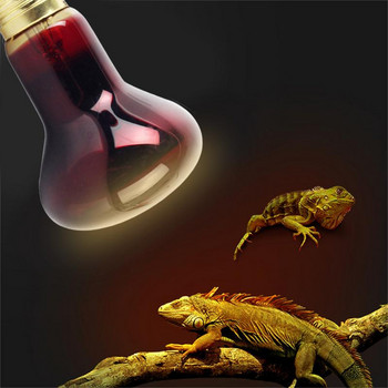 60W / 100W Отоплителна лампа за домашни любимци Инфрачервен керамичен излъчвател Топлинна крушка Pet Brooder Lamp Reptile 220-240V LED Red Reptile Night