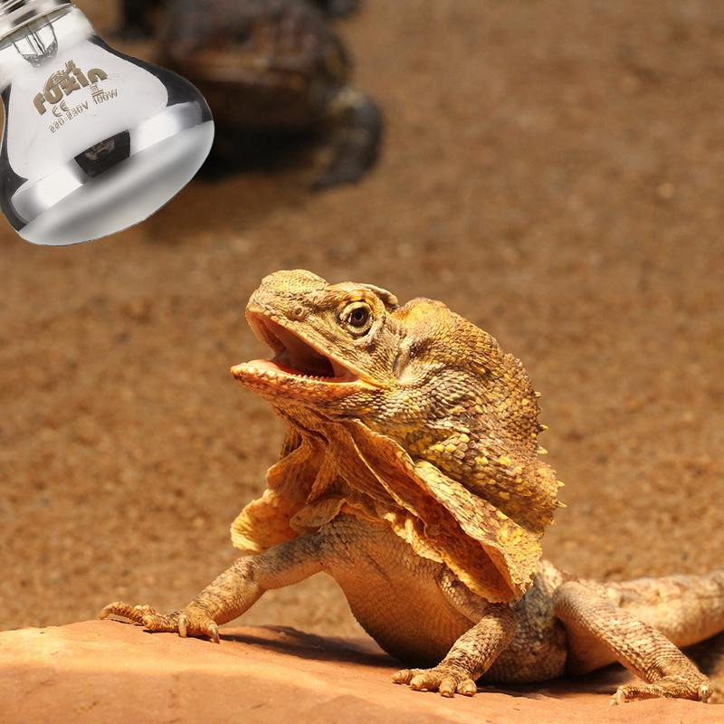 Lampă de încălzire pentru animale de companie E27 zi noapte pentru amfibieni șarpe lampă încălzire reptile bec lumină UV 25W 50W 100W AC220-230V iarna fierbinte pentru animale de companie