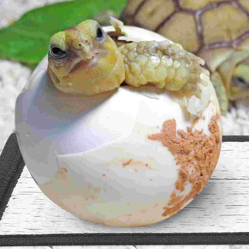 2 gab. tvertnes sildītājs, kāmja apsildes paliktnis, izolācijas paklājiņš čūska ezis ziemas gulta reptisoil mājdzīvnieku sildītājs ķirzaka