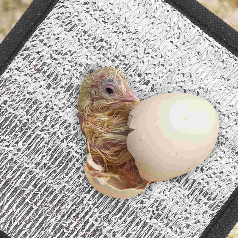 2 gab. tvertnes sildītājs, kāmja apsildes paliktnis, izolācijas paklājiņš čūska ezis ziemas gulta reptisoil mājdzīvnieku sildītājs ķirzaka