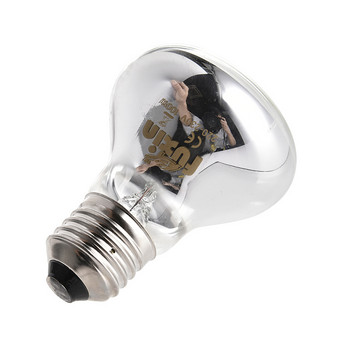E27 25/50/75/100W Mini Daylight Lamp Θερμικό φωτιστικό για φίδια Lizards Tortoise Reptiles Amphibian Animal Lighting