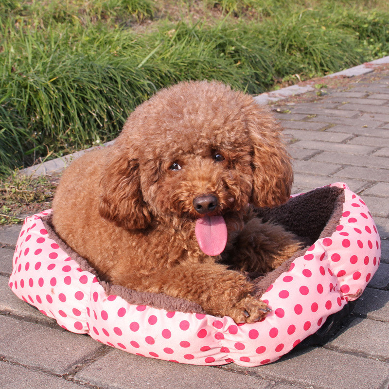 Koeravoodi väikesele lemmiklooma voodile Armas koerakuuti täpitrükiga lemmikloomamatt Kassi voodi Lemmiklooma kassimaja Koera voodi lemmikloomatarbed väikestele koertele Kassi diivan