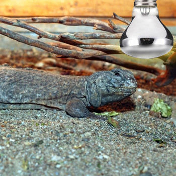 Για Reptile Bulb Heat Turtles Heat Emitter Small Bulb Animals Pet Light Reptil Lamp Lamp