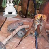 50W100W Lampă de încălzire pentru animale de companie Amfibii Amfibii Lampă șarpe Bec de căldură pentru reptile E27 Bec cu emițător de căldură pentru animale de companie