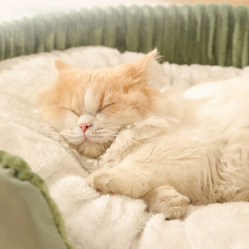 Πύκνωση κρεβατιού γάτας Αφαιρούμενα κατοικίδια Φωλιά τετράγωνο βελούδινο καναπέ ρείθρων Καλάθια για γάτες Μαξιλάρι χαλάκι για γάτες Home Προμήθειες κρεβατιού για γάτες Kattenmand