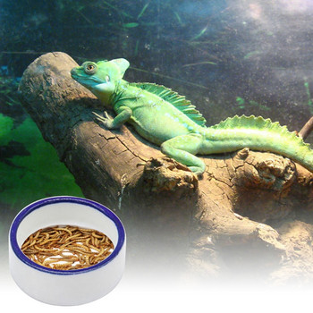 Купи за влечуги Терариум Ястие за хранене с червеи Ястие за хранене с влечуги с брашнени червеи Керамична купа за жаба Гекон Змия Паяци Плъхове