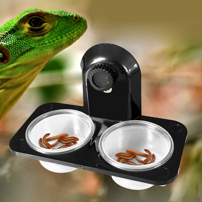 1pcs ABS Reptile Tank Food Water Feeding Bowl Insect Spider Ants Nest Snake Gecko Terrarium Breeding Feeders Box Pets Supplies