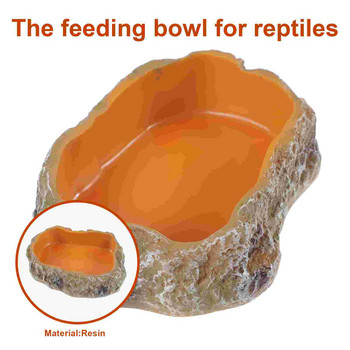 Reptile Terrarium Container Crawler τροφοδοσίας κατοικίδιων πιάτων Πιάτο νερό Μπολ Ενυδρείο σκουλήκι Τροφή Ρητίνη τροφοδοσίας βράχου
