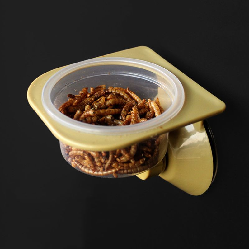 Ventuză pentru apă pentru reptile, hrănitor pentru hrană, pentru agățat pe perete, bol de hrănire, cutie de reproducție pentru păianjeni, oală, hrănitori de reproducție pentru terariu C42