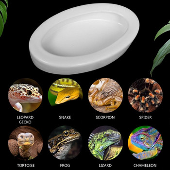 Reptile Worm Dish Mini Reptile Food for Lizard Anoles Bearded Dragons White Water Bowls Πιάτο νερού Κεραμικά Μπολ