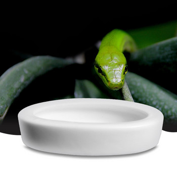 Reptile Worm Dish Mini Reptile Food for Lizard Anoles Bearded Dragons White Water Bowls Πιάτο νερού Κεραμικά Μπολ