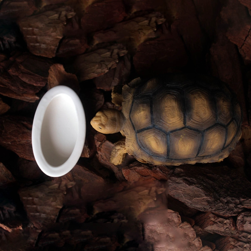 Roplių sliekų patiekalas Mini roplių maistas driežams Anoles Barzdoti drakonai Baltieji vandens dubenys Vandens indas Keramikinis šėrimo dubuo