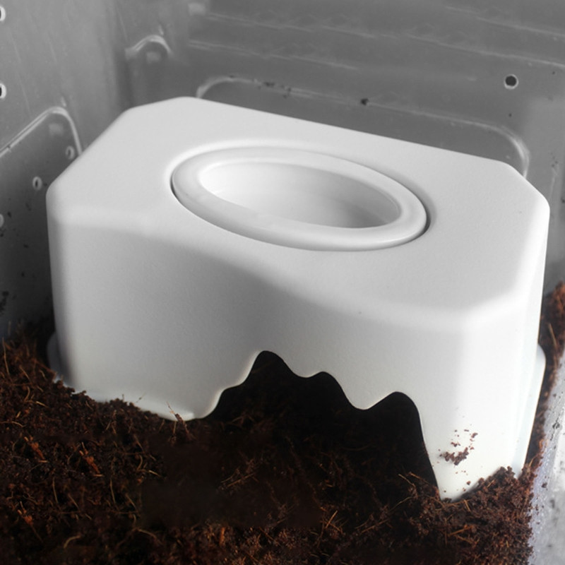 Roplių sliekų patiekalas Mini roplių maistas driežams Anoles Barzdoti drakonai Baltieji vandens dubenys Vandens indas Keramikinis šėrimo dubuo