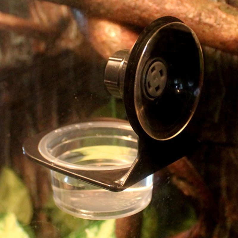 Plastikinis naminių gyvūnėlių roplių vonios praustuvas Daugiafunkcinis papūgos girdyklos baseinas, didelės talpos narve pakabinamas tiektuvas