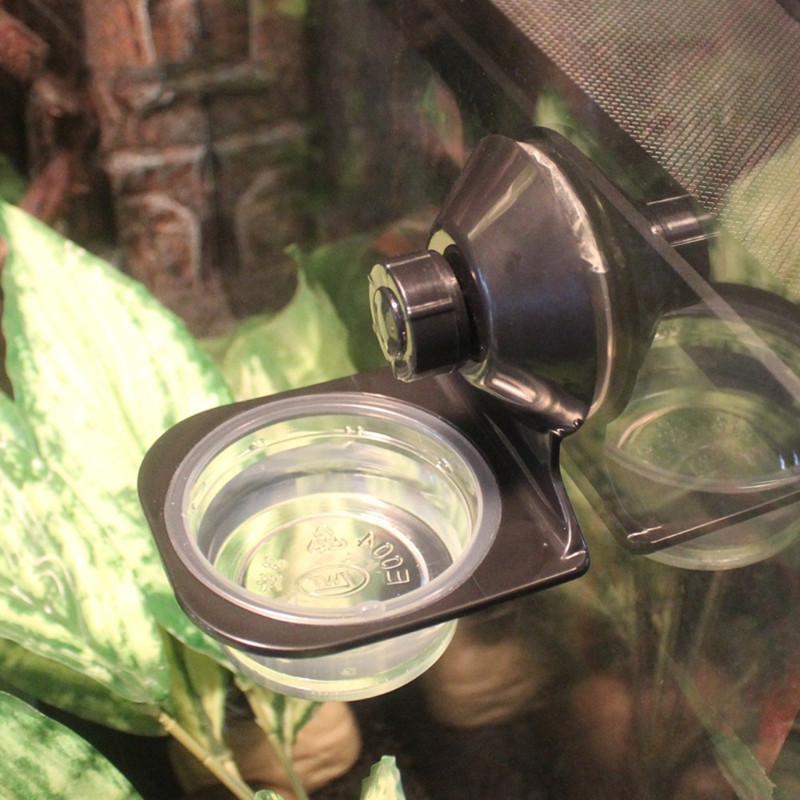 Plastikinis naminių gyvūnėlių roplių vonios praustuvas Daugiafunkcinis papūgos girdyklos baseinas, didelės talpos narve pakabinamas tiektuvas