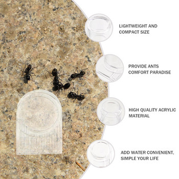 2 бр. Акрилни хранилки за мравки Купички за пиене на мравки Зона за подаване на вода за гнездо на мравки