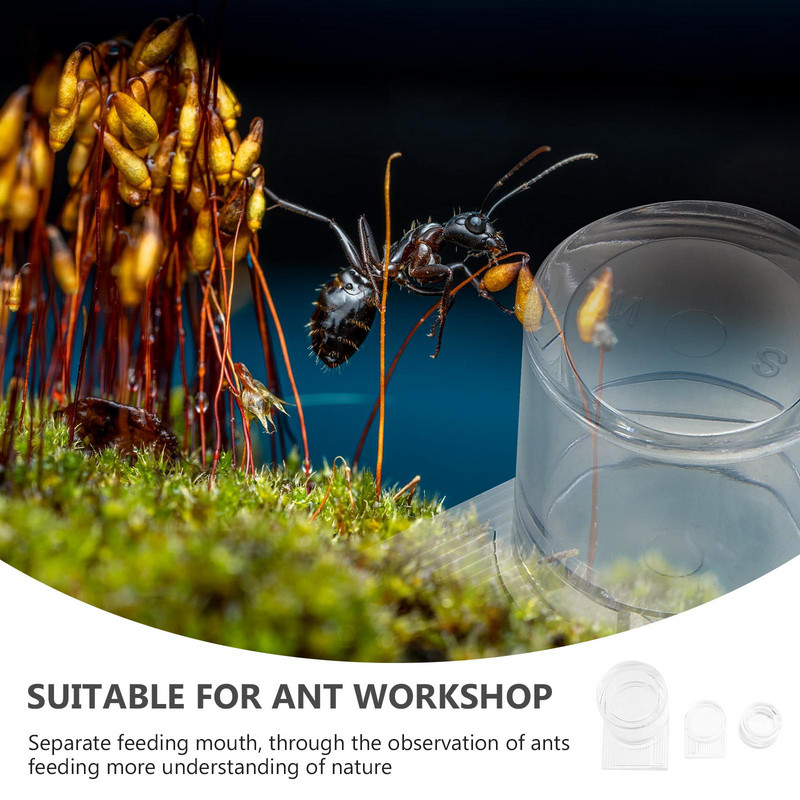 2 τμχ Ακρυλικοί τροφοδότες μυρμηγκιών Μυρμήγκια Ποτό μπολ Χώρος τροφοδοσίας νερού για φωλιά μυρμηγκιών