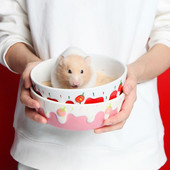 Hrănirea ariciului dihorului din ceramică gerbil chinchilla hamster castron băutor de apă mâncare vas accesorii pentru animale de companie