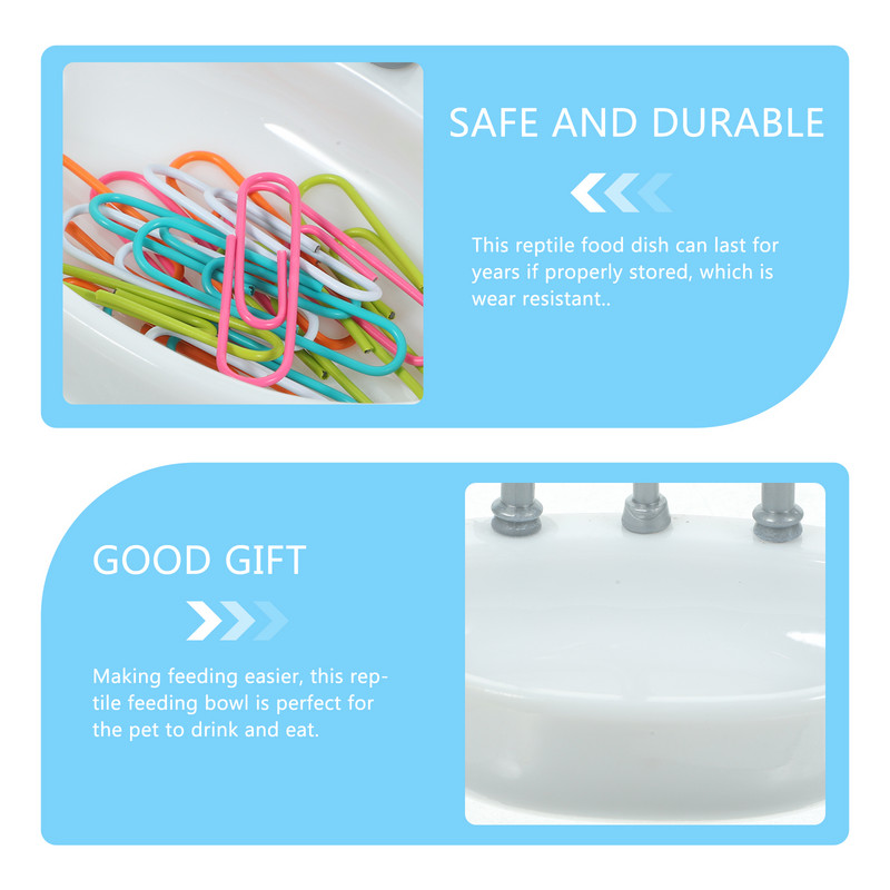 Toidukauss roomaja veenõu terraariumi udupeenra dekoratiivne kilpkonna toitev loomataldrik