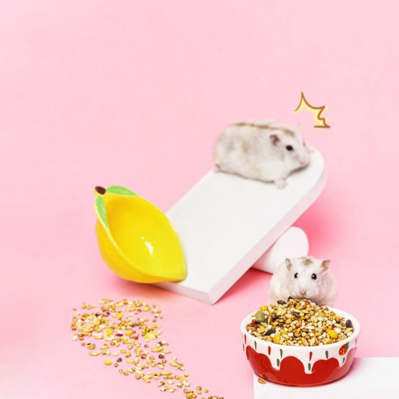 Jež, tvor, keramička činčila, gerbil Posuda za hranjenje hrane Posuda za hrčka Posuda za vodu Pojilica za kućne ljubimce