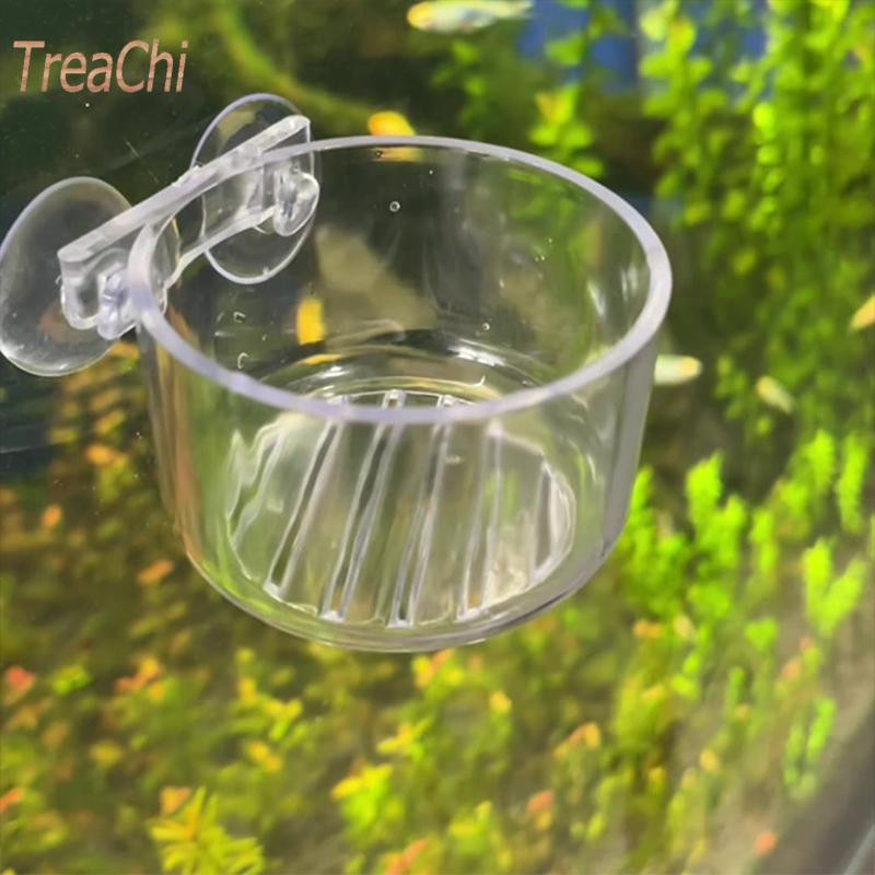 Akvariumo puošmena Kabantis žuvų rezervuaras, sodinimas, stiklainis Puodelis Akvariumo priedai Mini krištolinis stiklinis puodas Polka vandens vazonas