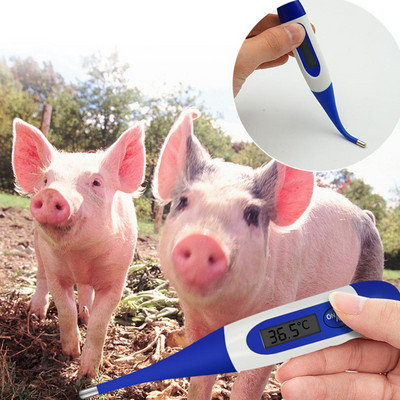 Κτηνιατρικό ηλεκτρονικό θερμόμετρο LCD οθόνη μαλακό θερμόμετρο κεφαλής με αισθητήρα Ntc για χοιρινό σκύλο Βοοειδή προβατογάτα